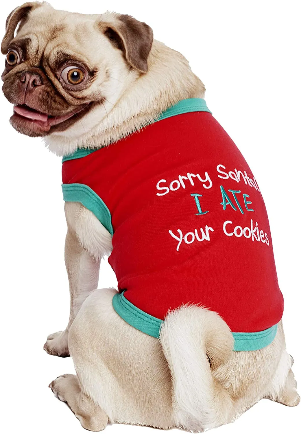 Funny Holiday Pet Shirts